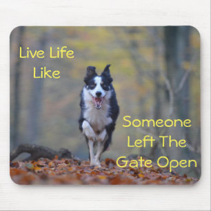 Mousepad Happy Border Collie cão correndo e brincando