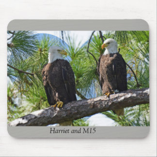 Mousepad Harriet e amor M15