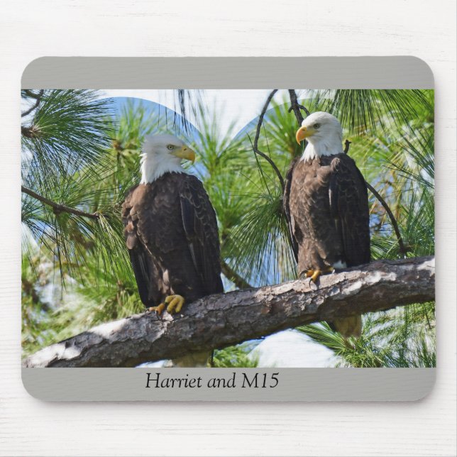 Mousepad Harriet e amor M15 (Frente)