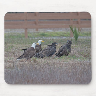 Mousepad Harriet M15 E10 e E11