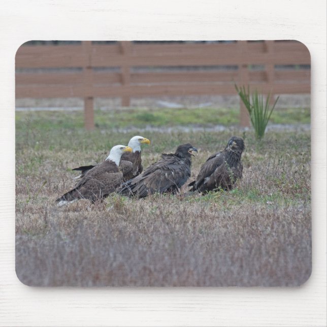 Mousepad Harriet M15 E10 e E11 (Frente)