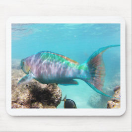 Mousepad Hawaii Parrot Fish