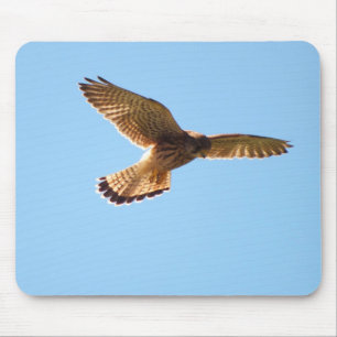 Mousepad Hawk em voo