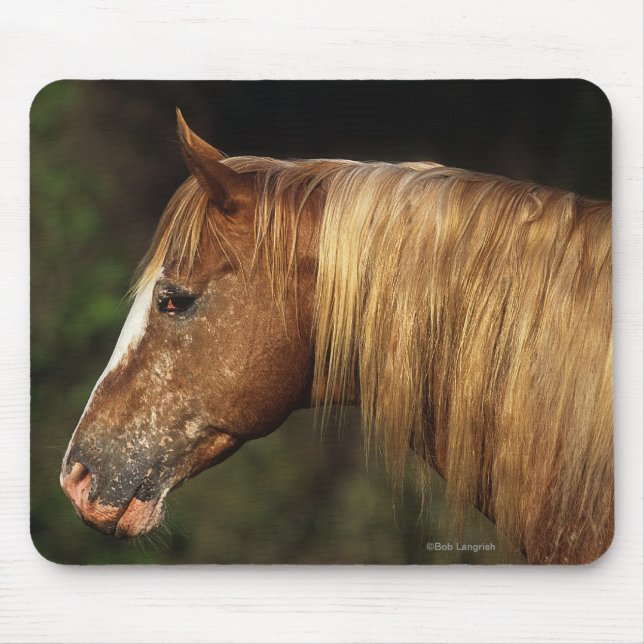 Mousepad Headshot 1 do cavalo do Appaloosa (Frente)