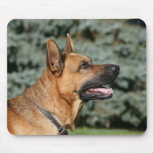 Mousepad Headshot 1 do german shepherd