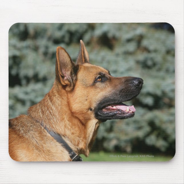Mousepad Headshot 1 do german shepherd (Frente)