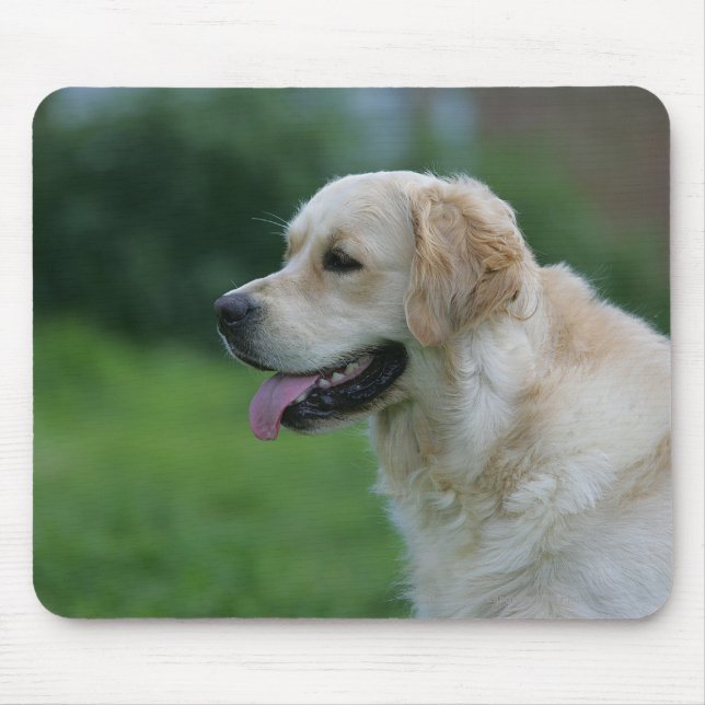 Mousepad Headshot 2 2 do golden retriever (Frente)