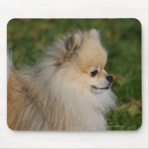 Mousepad Headshot 2 de Pomeranian