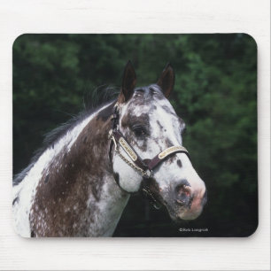 Mousepad Headshot 2 do cavalo do Appaloosa