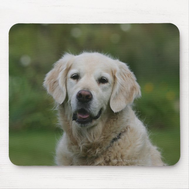 Mousepad Headshot 2 do golden retriever (Frente)