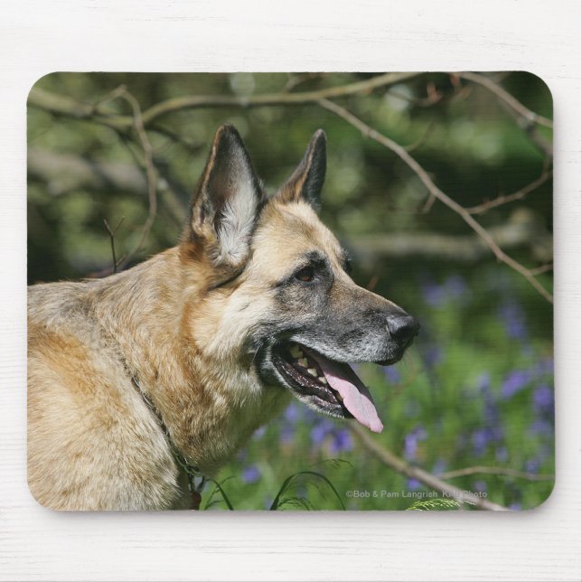 Mousepad Headshot 3 do german shepherd (Frente)