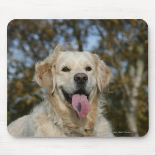 Mousepad Headshot 3 do golden retriever