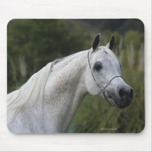 Mousepad Headshot árabe 1 do cavalo