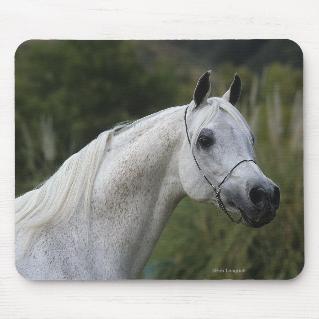 Mousepad Headshot árabe 1 do cavalo (Frente)