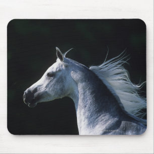 Mousepad Headshot árabe 2 do cavalo