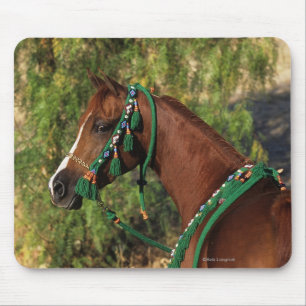 Mousepad Headshot árabe do cavalo com freio