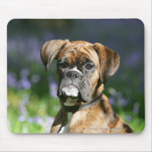 Mousepad Headshot do cão do pugilista