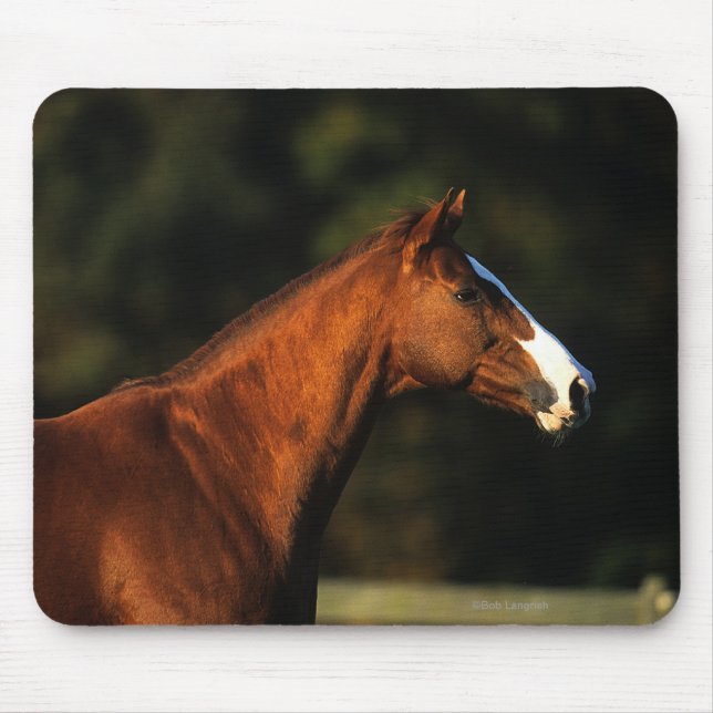 Mousepad Headshot do cavalo do puro-sangue (Frente)