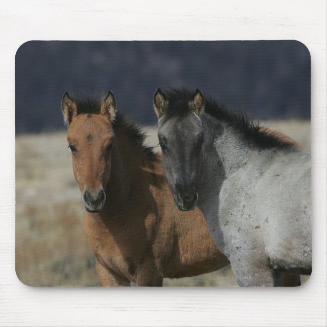 Mousepad Headshot do potro do mustang (Frente)