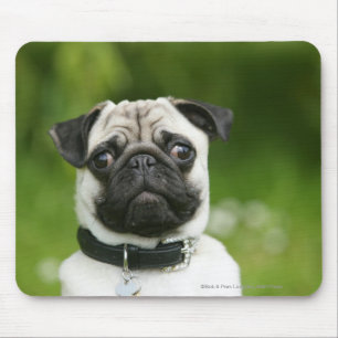 Mousepad Headshot do Pug