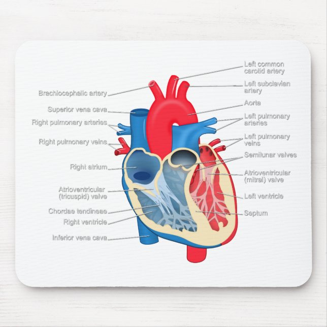 Mousepad Heart_Anatomy (Frente)