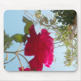 Mousepad Heavenly Bloom: Um Rosa Contra o Céu