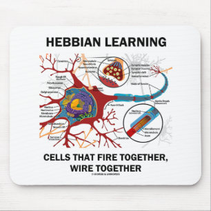 Mousepad Hebbian que aprende o fogo das pilhas prende junto