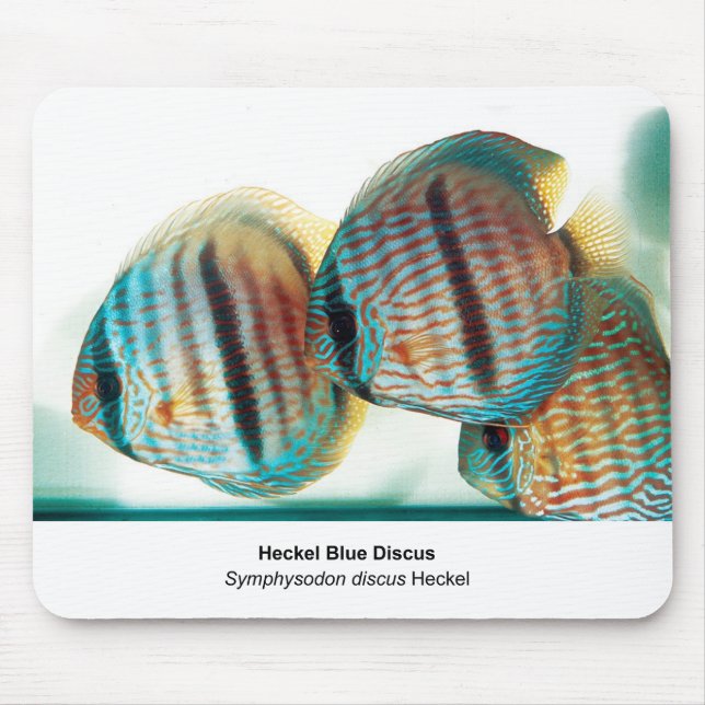 Mousepad Heckel Blue Discusのマウスパッド (Frente)