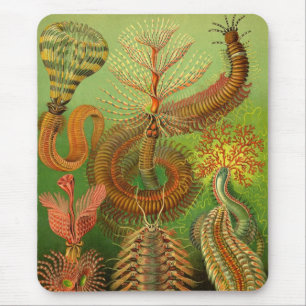 Mousepad Heckel Centipedes