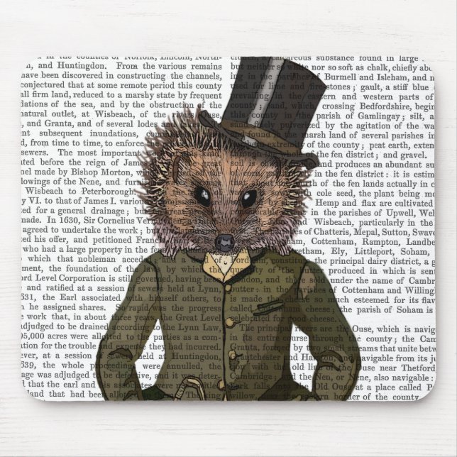 Mousepad Hedgehog Rider Portrait (Frente)