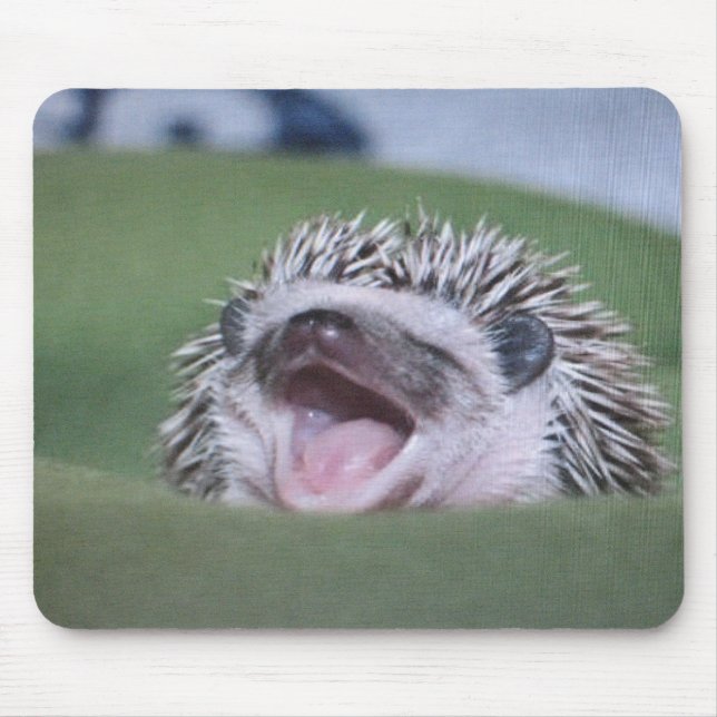 Mousepad hedgy (Frente)
