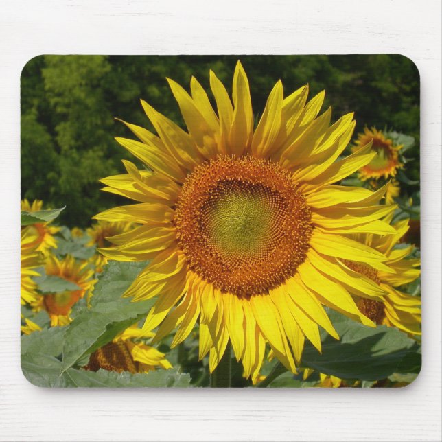 Mousepad Helianthus annuus (Frente)