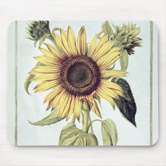 Mousepad Helianthus annuus 'de Velins du Roi Vol.36' (Frente)
