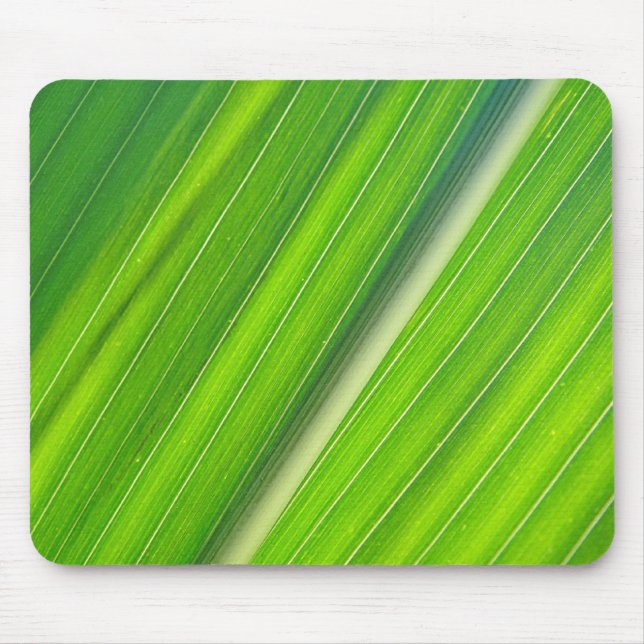 Mousepad hellgrünes Maisblattdesign (Frente)