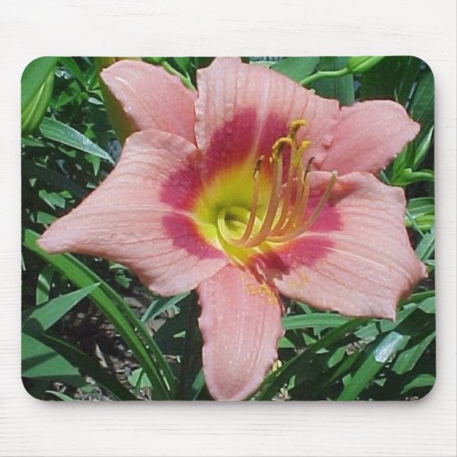 Mousepad Hemerocallis da quebra da cereja (Frente)