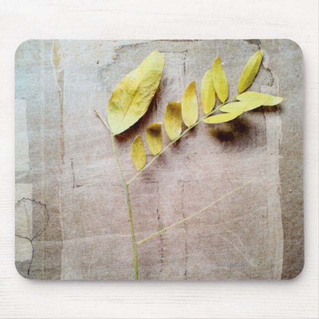 Mousepad Herbário V (Frente)