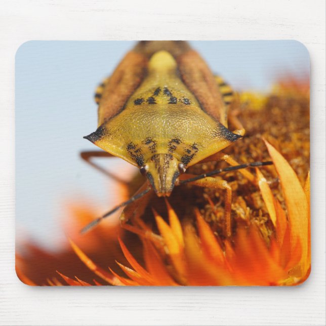 Mousepad Heteroptera (Frente)