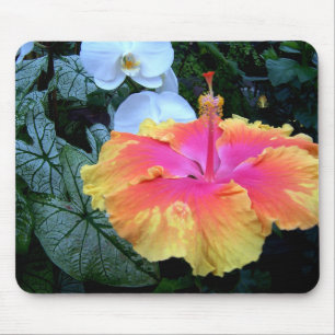 Mousepad hibiscus