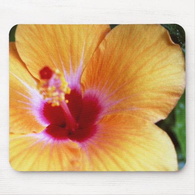 Mousepad Hibiscus, amarelo alaranjado (Frente)