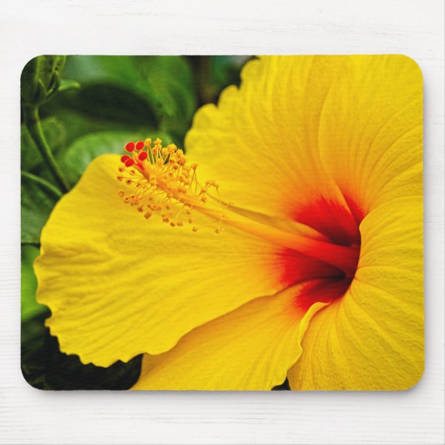 Mousepad Hibiscus amarelo-claro (Frente)