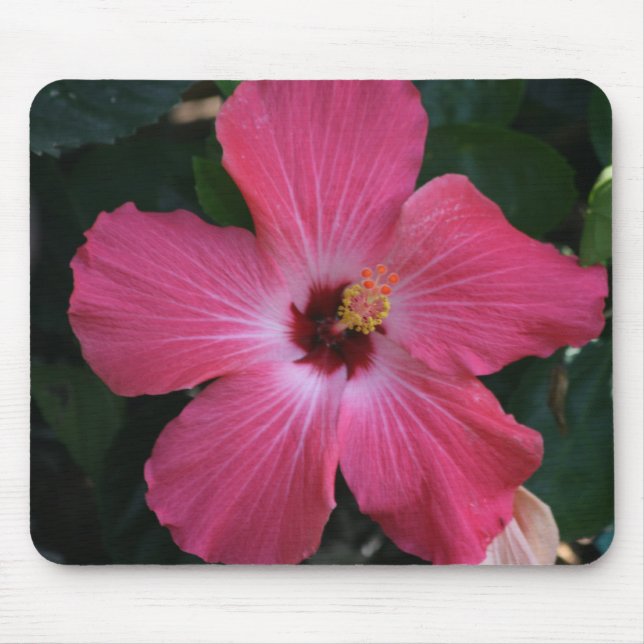 Mousepad hibiscus cor-de-rosa (Frente)