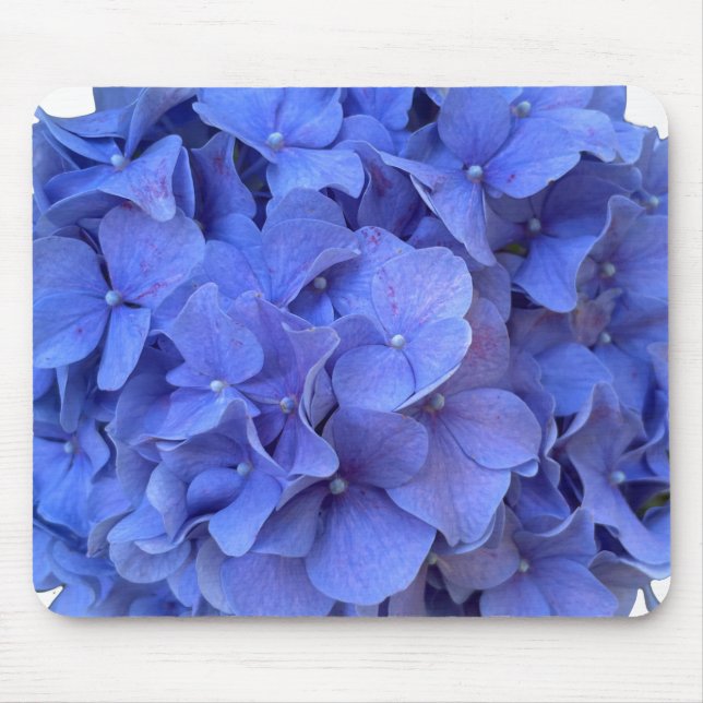 Mousepad Hídrangas florais do periwinkle azul Elegante (Frente)