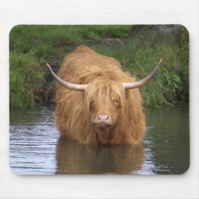Mousepad Highland Cattle (Frente)