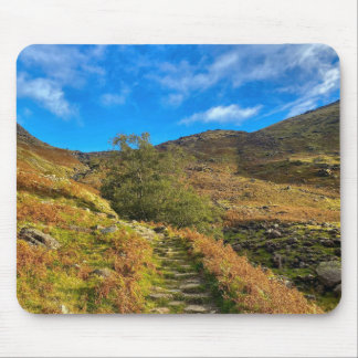 Mousepad Hiking Trail