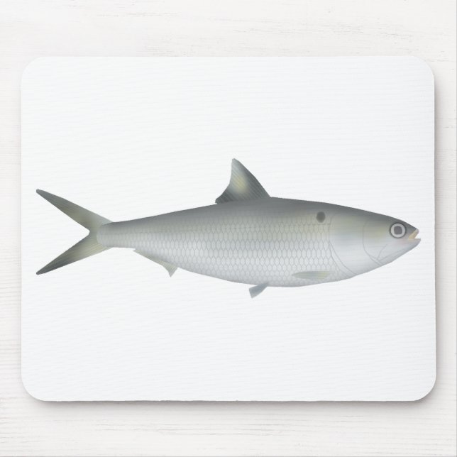 Mousepad Hilsa Shad (Frente)