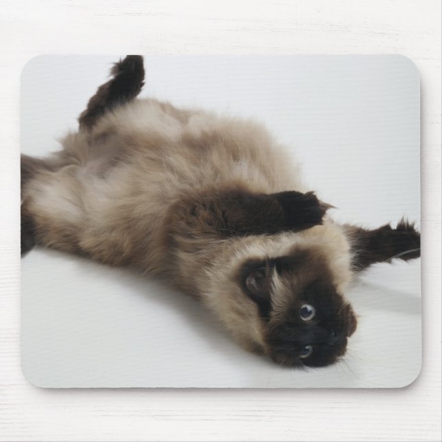 Mousepad Himalayan Cat Deitado nas costas (Frente)