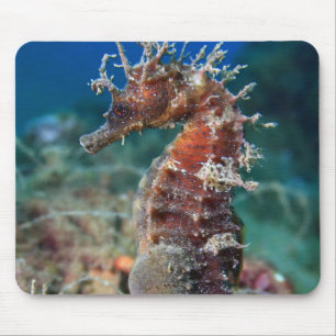 Mousepad Hipocampo Ramulosus do cavalo de mar