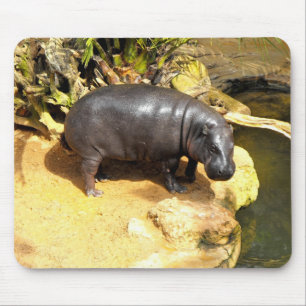 Mousepad Hippo curtindo o sol primavera