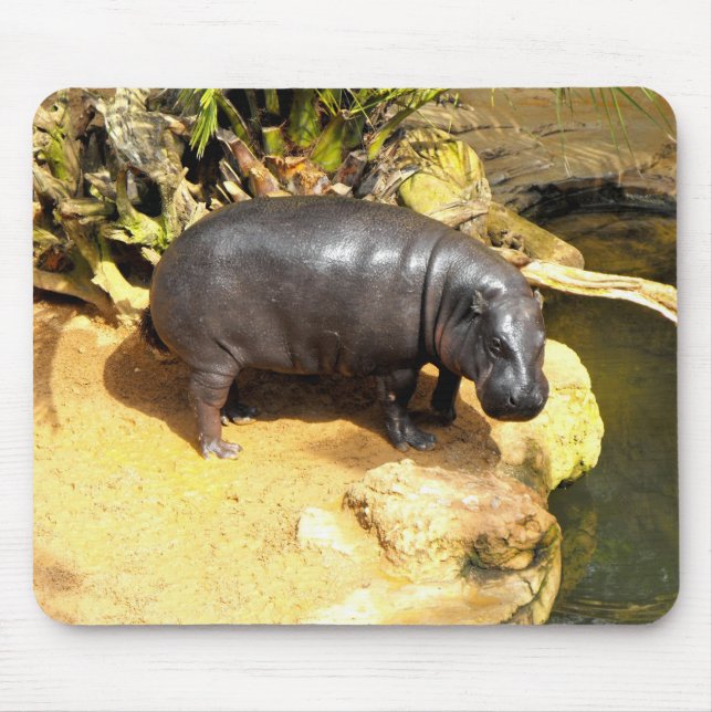 Mousepad Hippo curtindo o sol primavera (Frente)