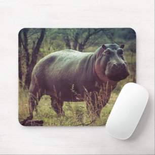 Mousepad Hippo em pé na câmara na África Folhagem